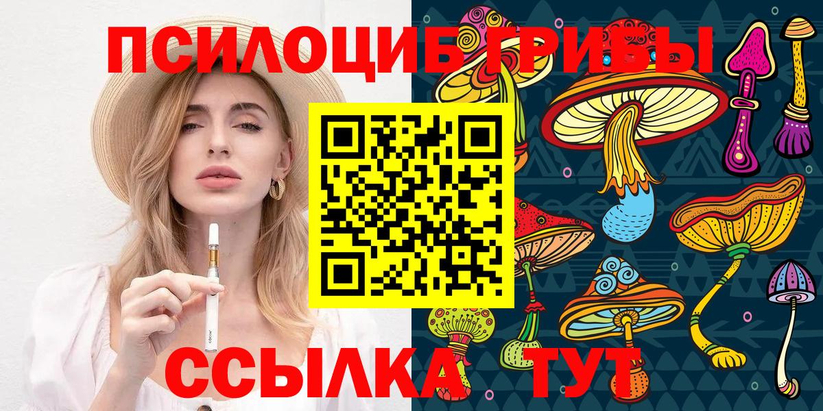 Сегежа  Псилоцибиновые грибы ЛСД  где найти наркотики  Вход с VPN 