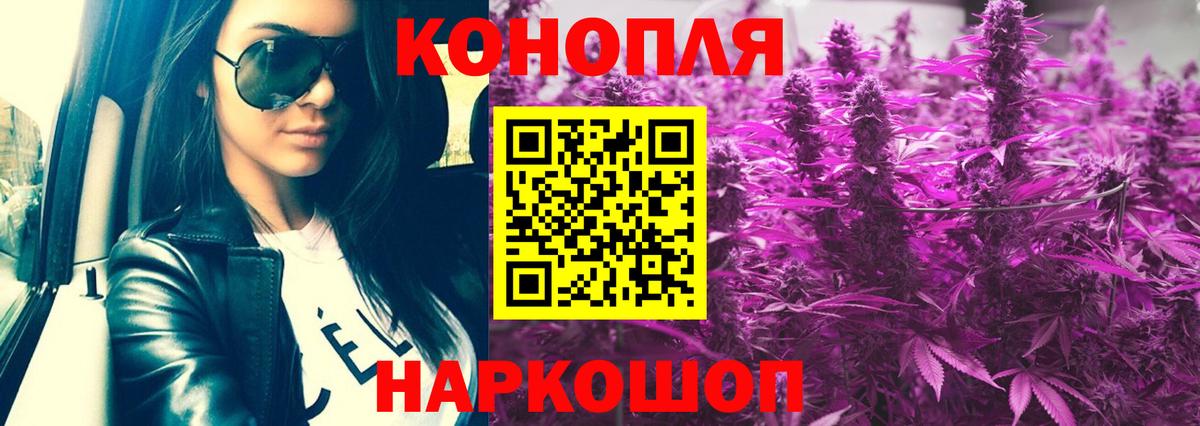 Шишки марихуана OG Kush Сегежа